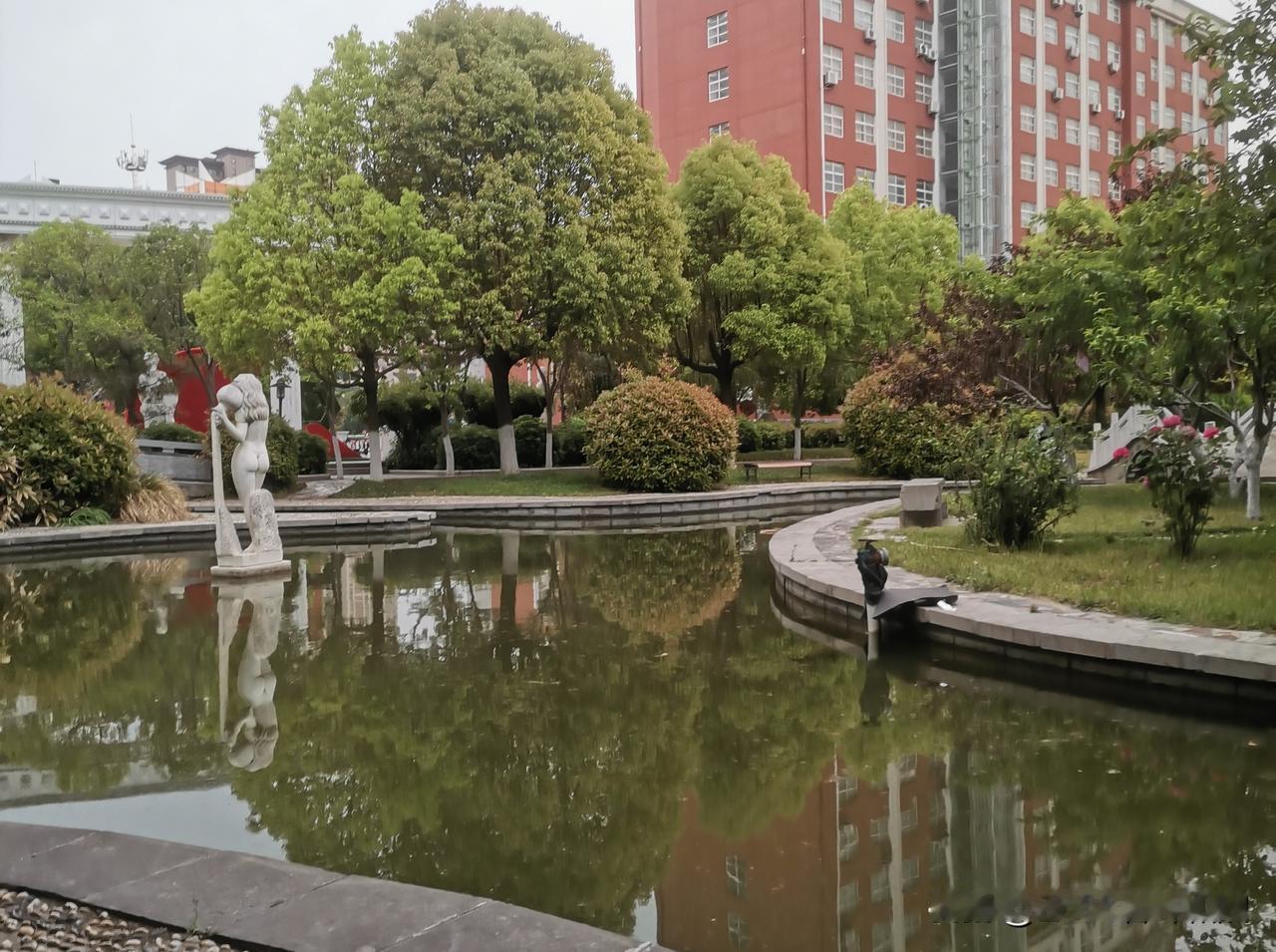 快来看看我新换的主页背景吧