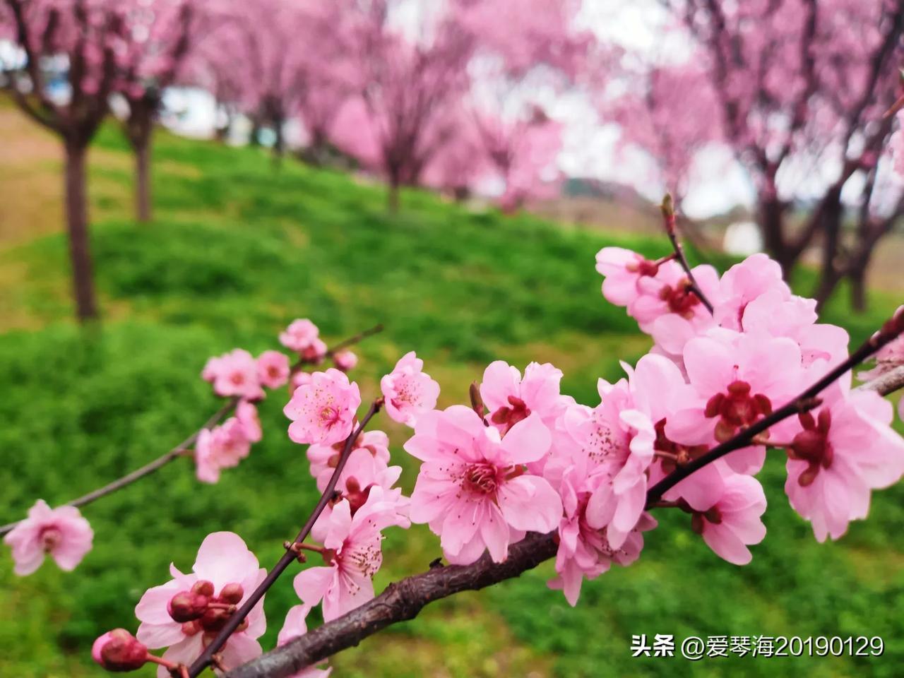 苏东坡乃千古第一通透之人，他曾说“一蓑烟雨任平生”，又说：“小舟从此逝，江海寄余