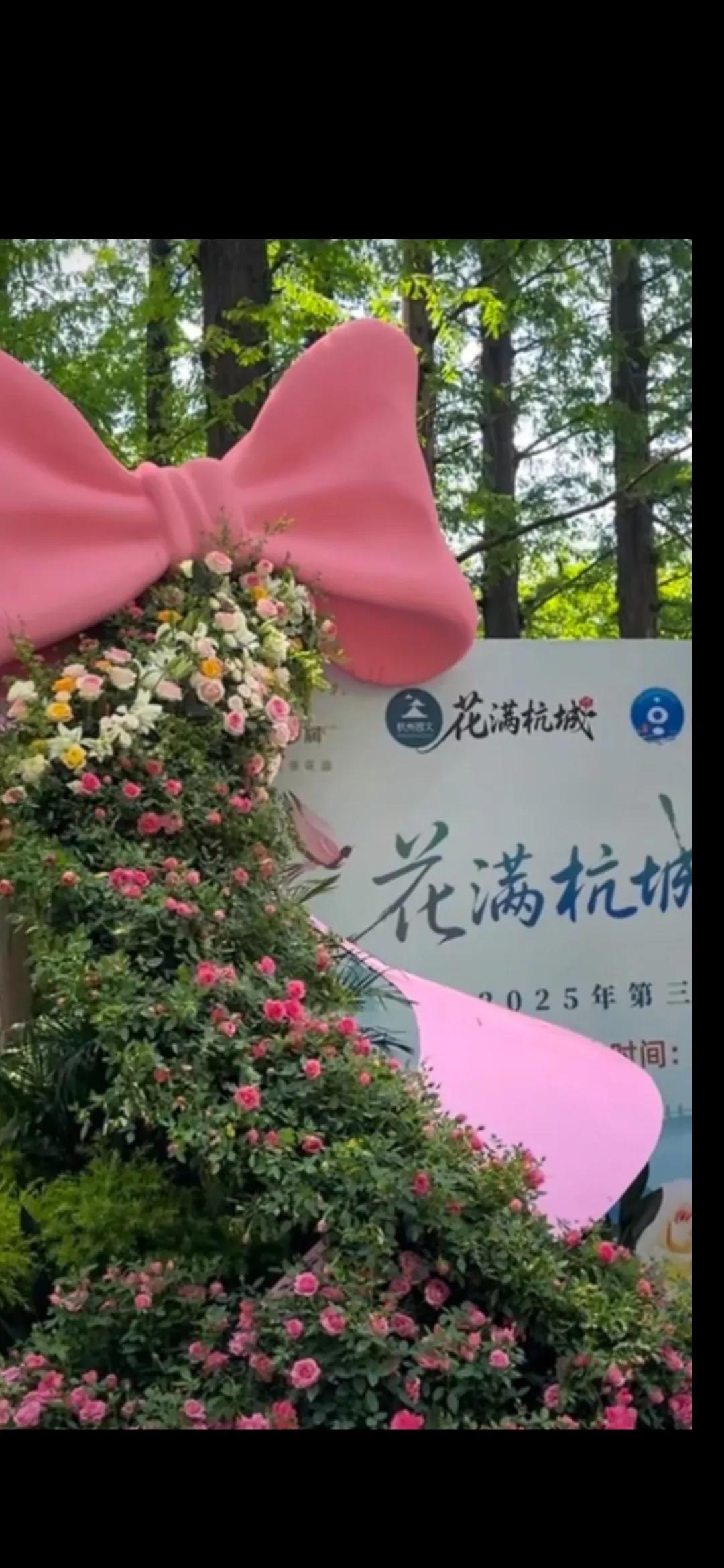 杭州花圃月季花展