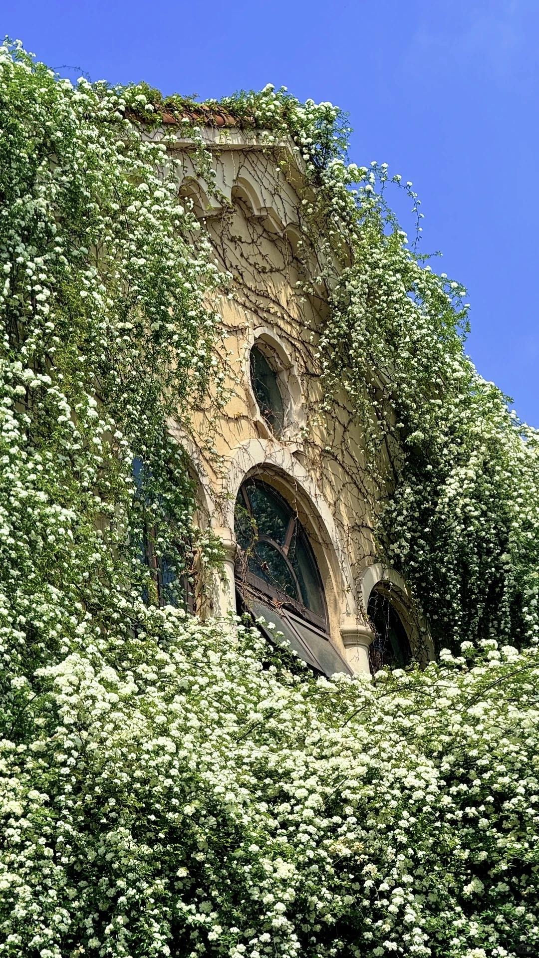 【人随春好，春与人宜】
        “人随春好，春与人宜”，这句治愈的话真是