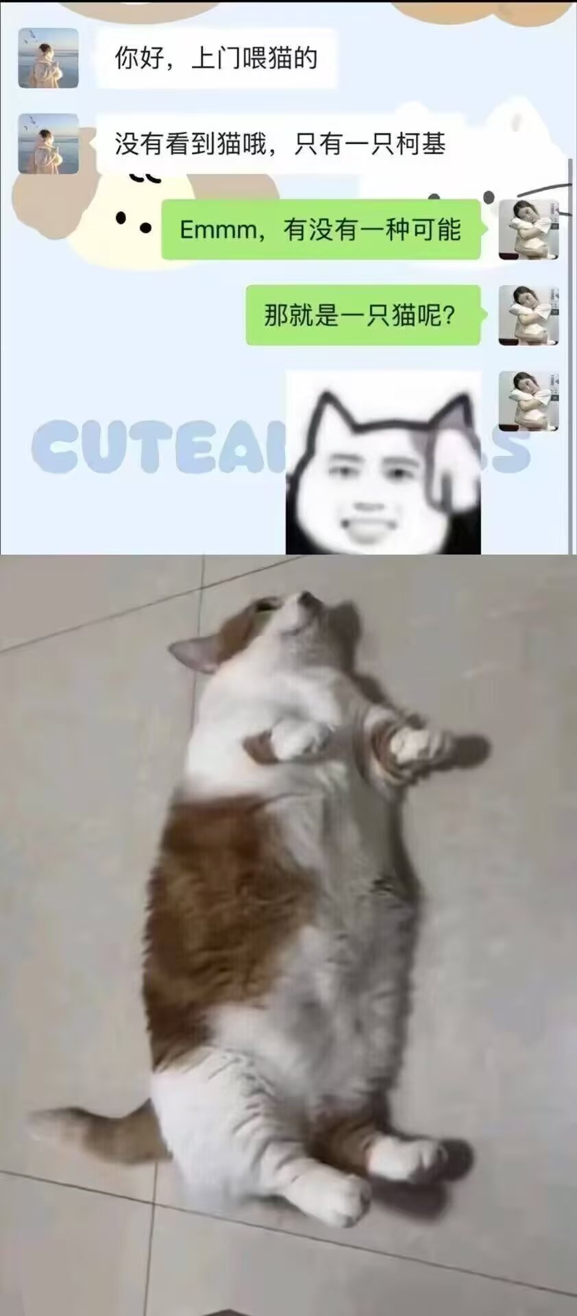 ？ 