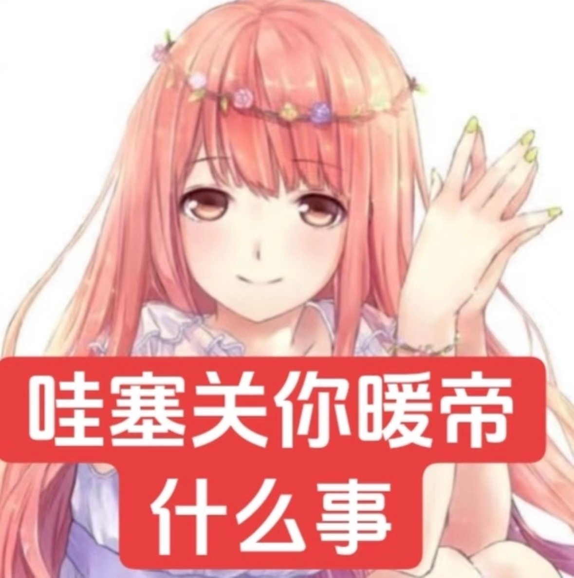 爱维权维权关我家暖儿啥意思 没苏暖暖这个嫡长女叠纸都活不到有乙游好吧 都能扯到z