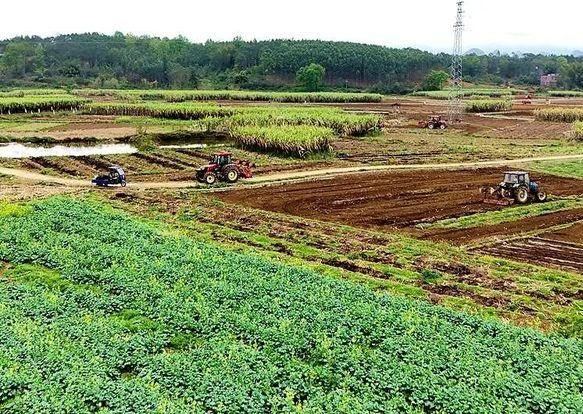 处理好农民和土地的关系，是我国深化农村改革的主线。3月18日，中共中央办公厅、国