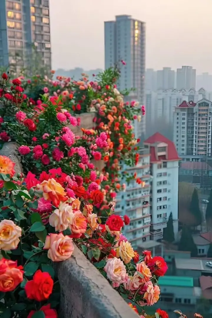 城市的浪漫