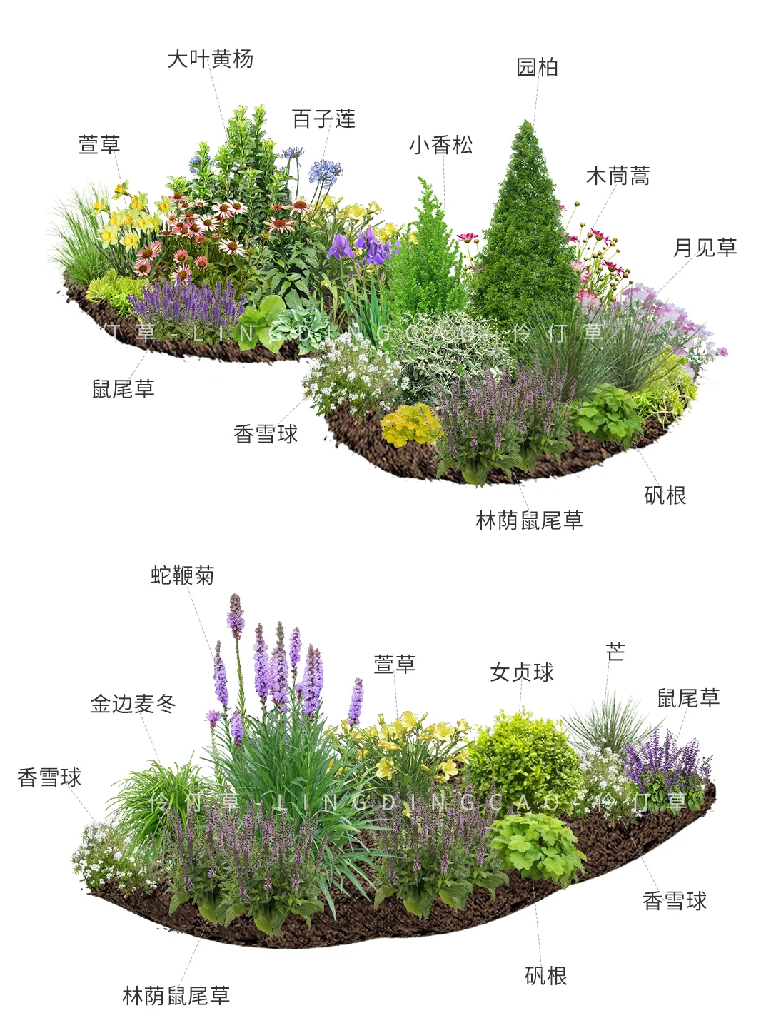 梦幻高颜值组团花境，清新浪漫的小世界