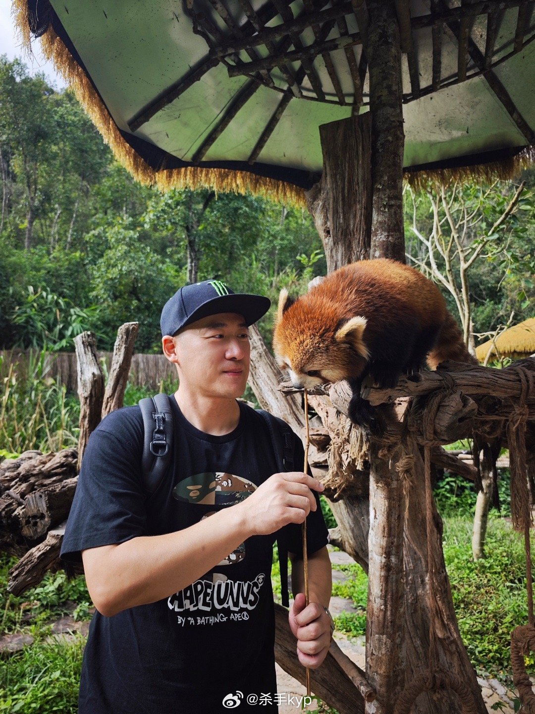 亲近动物，真的可以放松心情心向美好，自然多遇顺境 ​​​