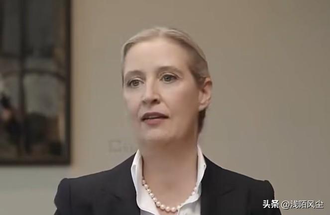德国选择党领袖魏德尔在访谈中澄清，外界称该党想要“脱离欧盟、退出欧元区”是一种误