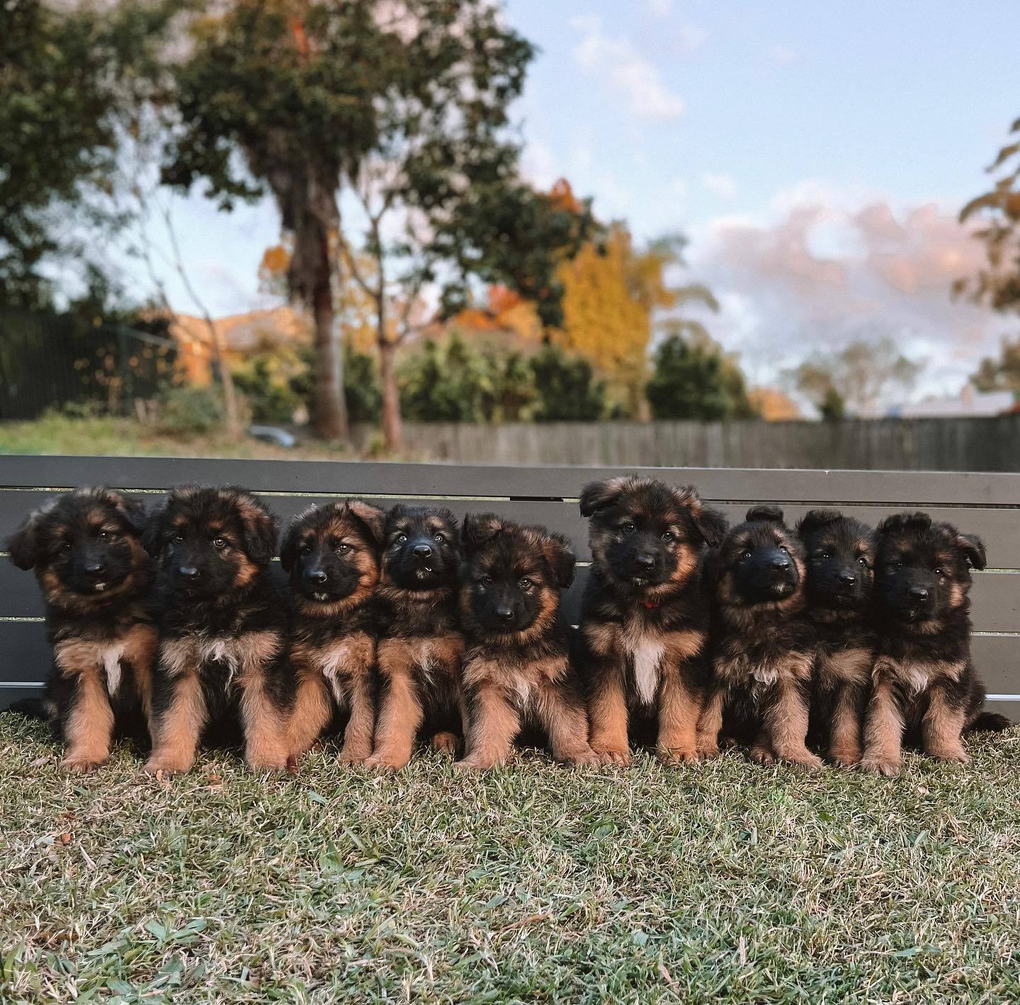 你好，你已经被我们包围了 