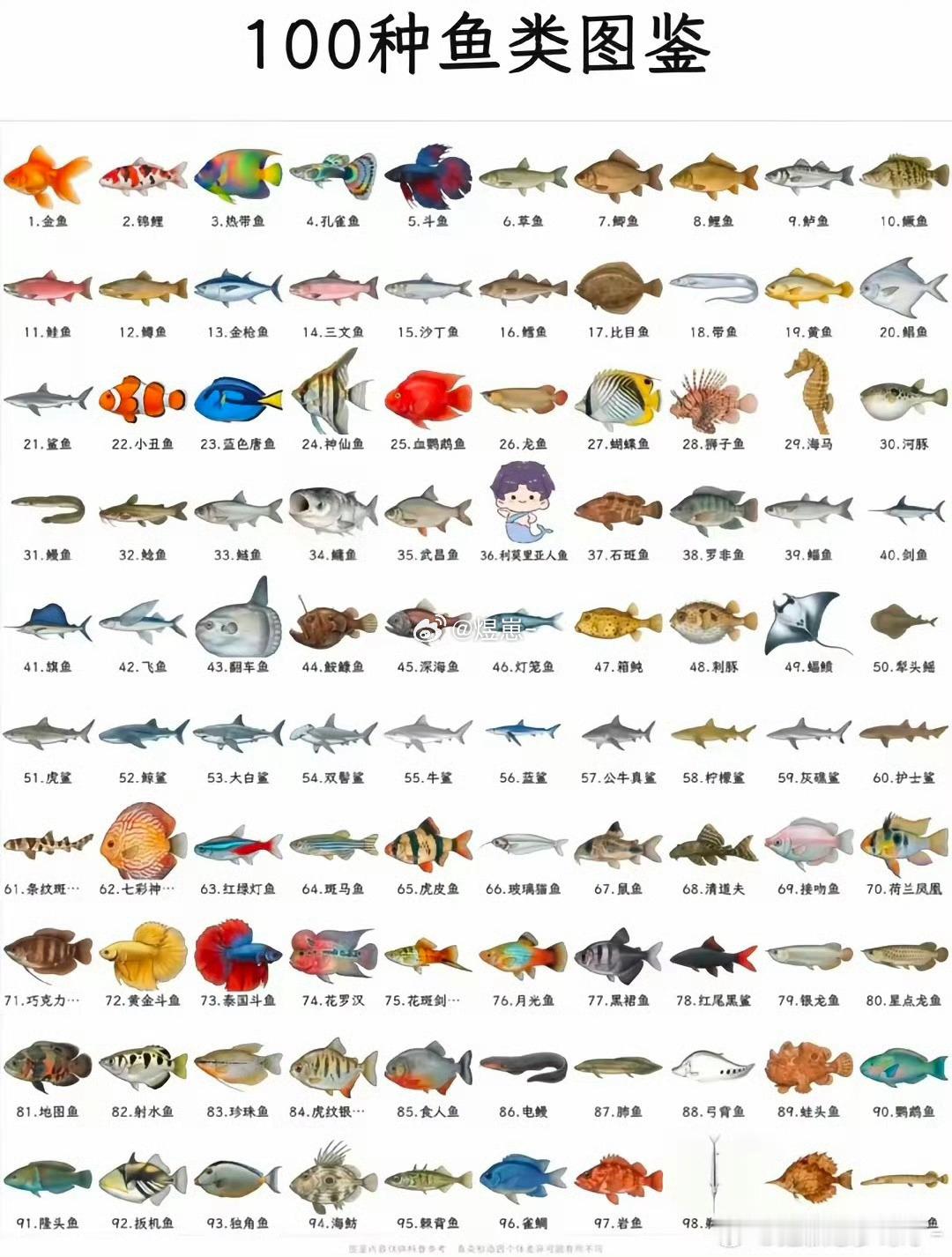 祁煜[超话]🐟祁煜 🐟宝宝小姐^ ^你最喜欢哪一条鱼～ ​ ​​​