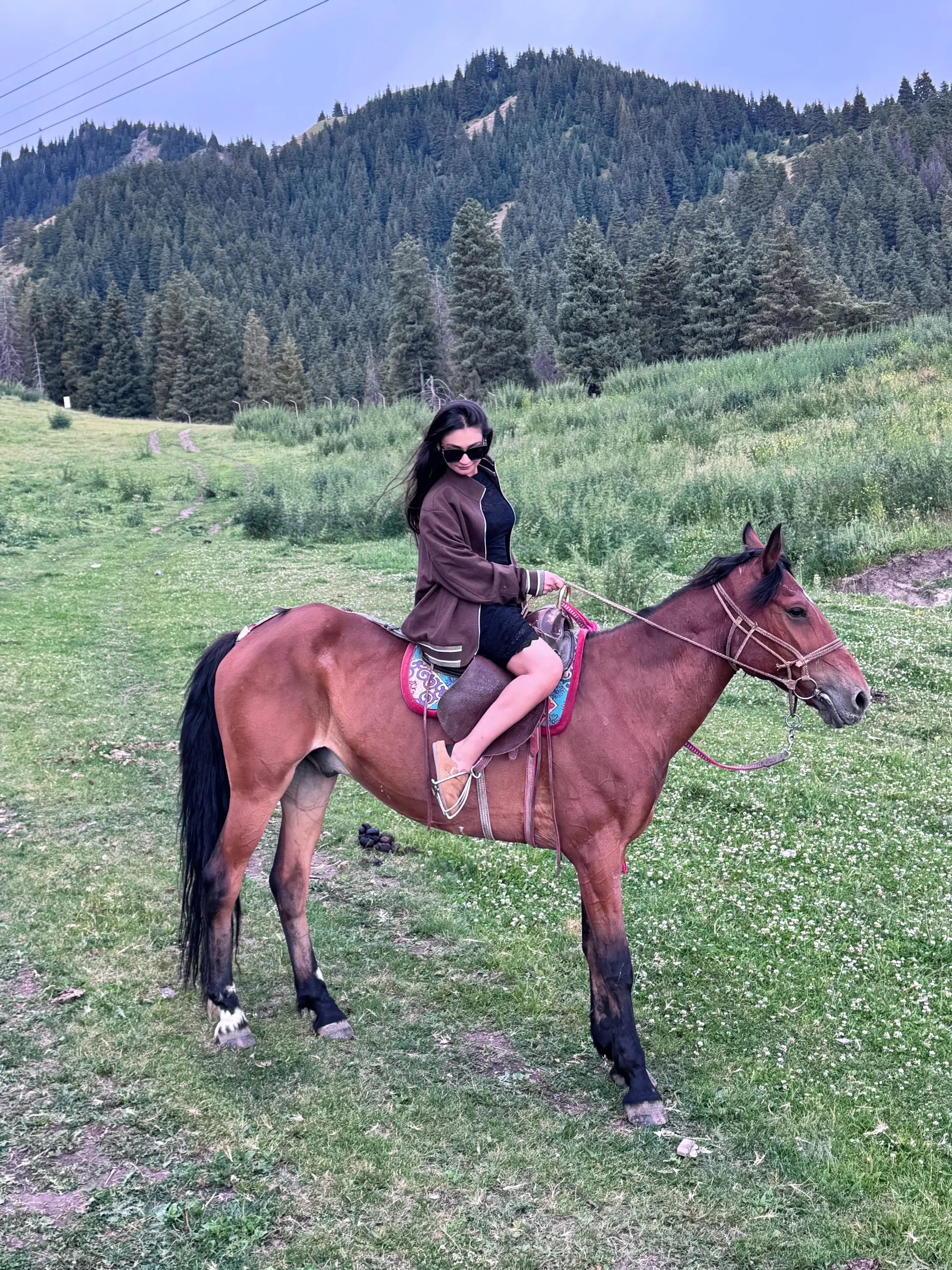 “在不被爱里 找被爱的痕迹”❤️ 🐎