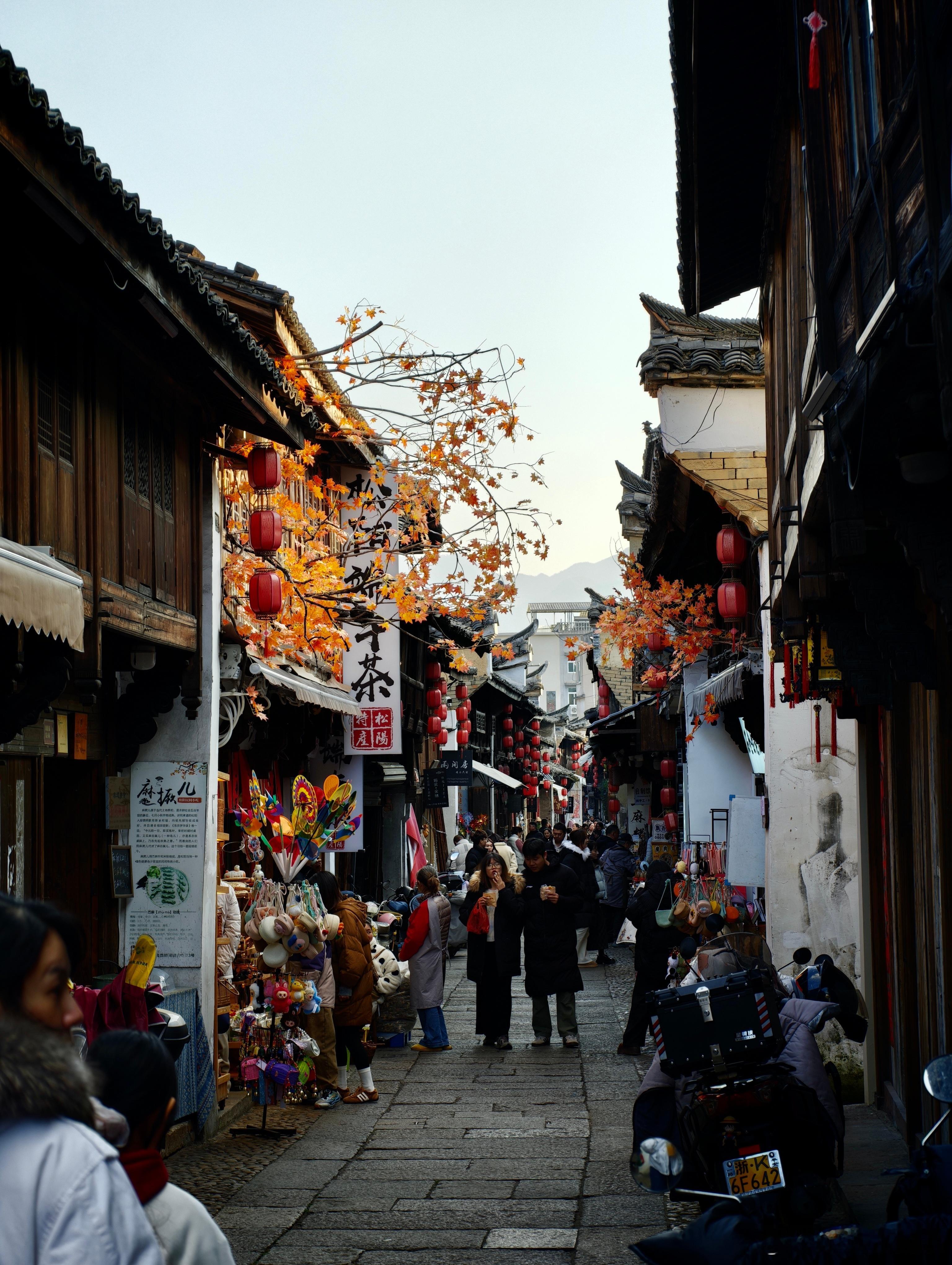 那个号称“江南最后秘境”的松阳，是我的故乡。元旦回了一趟老家，走在明清老街上，两