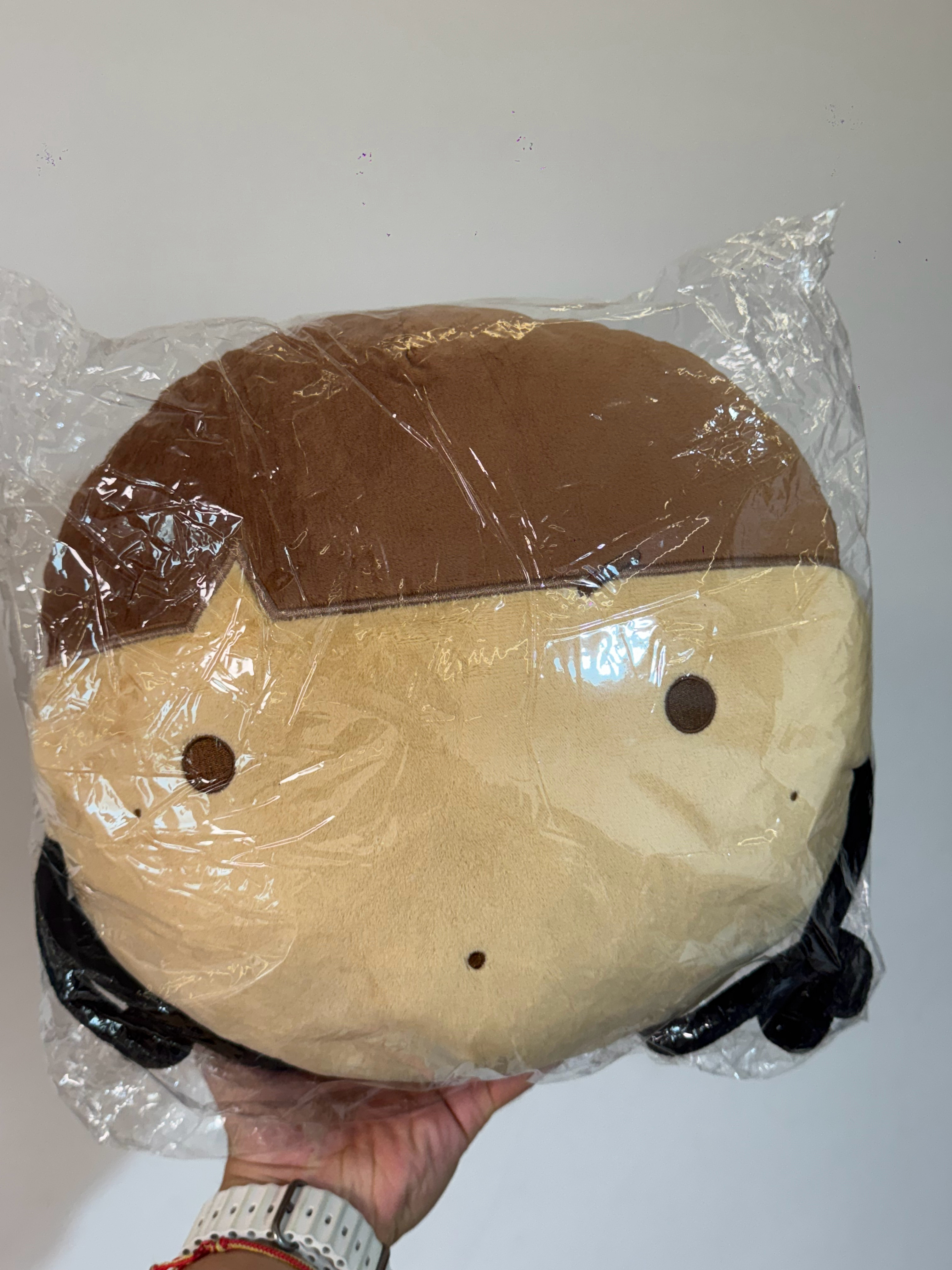 OMG开门收到个大酥饼快递萌萌萌 