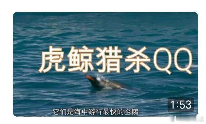 应该是虎鲸双杀QQ和奇异果、而且还是二倍杀，谁能想到有一天优酷能压轴腾讯爱奇艺的