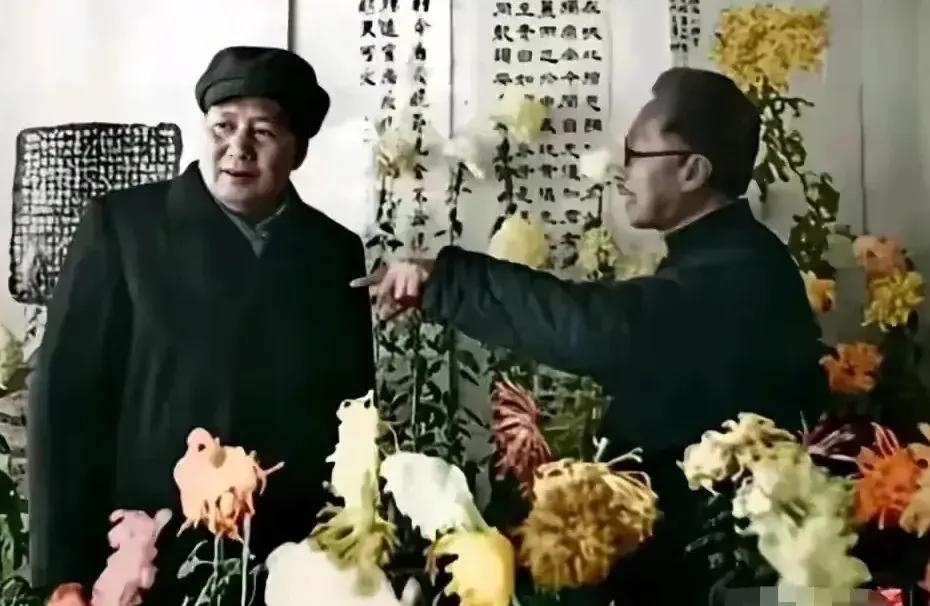 今又重阳，战地黄花分外香。