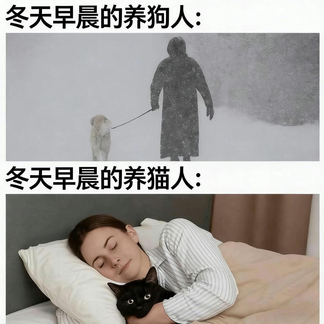 冬天早晨，养狗人和养猫人的生活简直天差地别。
养狗人就像被上了发条的闹钟，狗狗生
