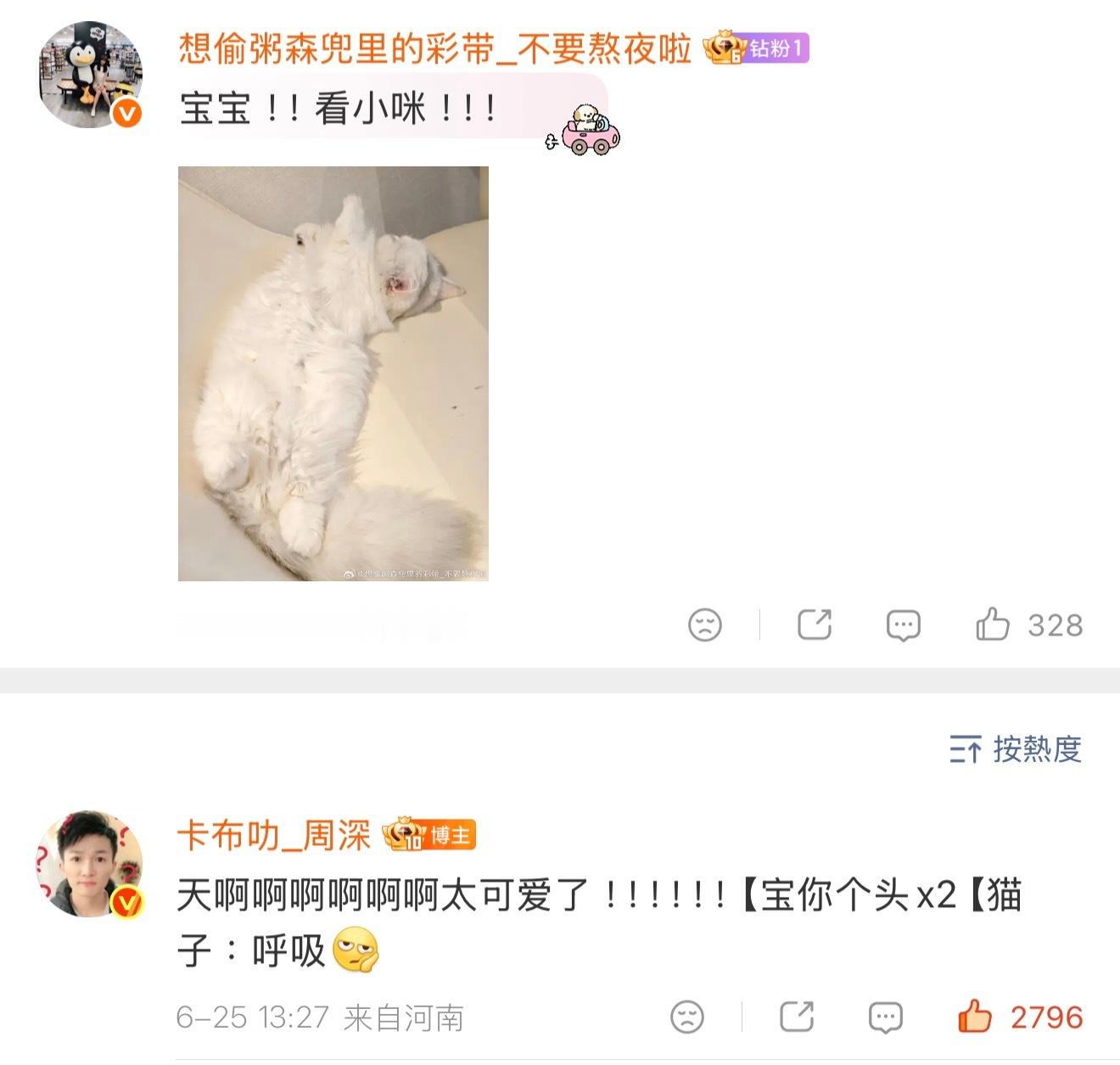 貓子：只是呼吸人類：啊啊啊啊啊啊 