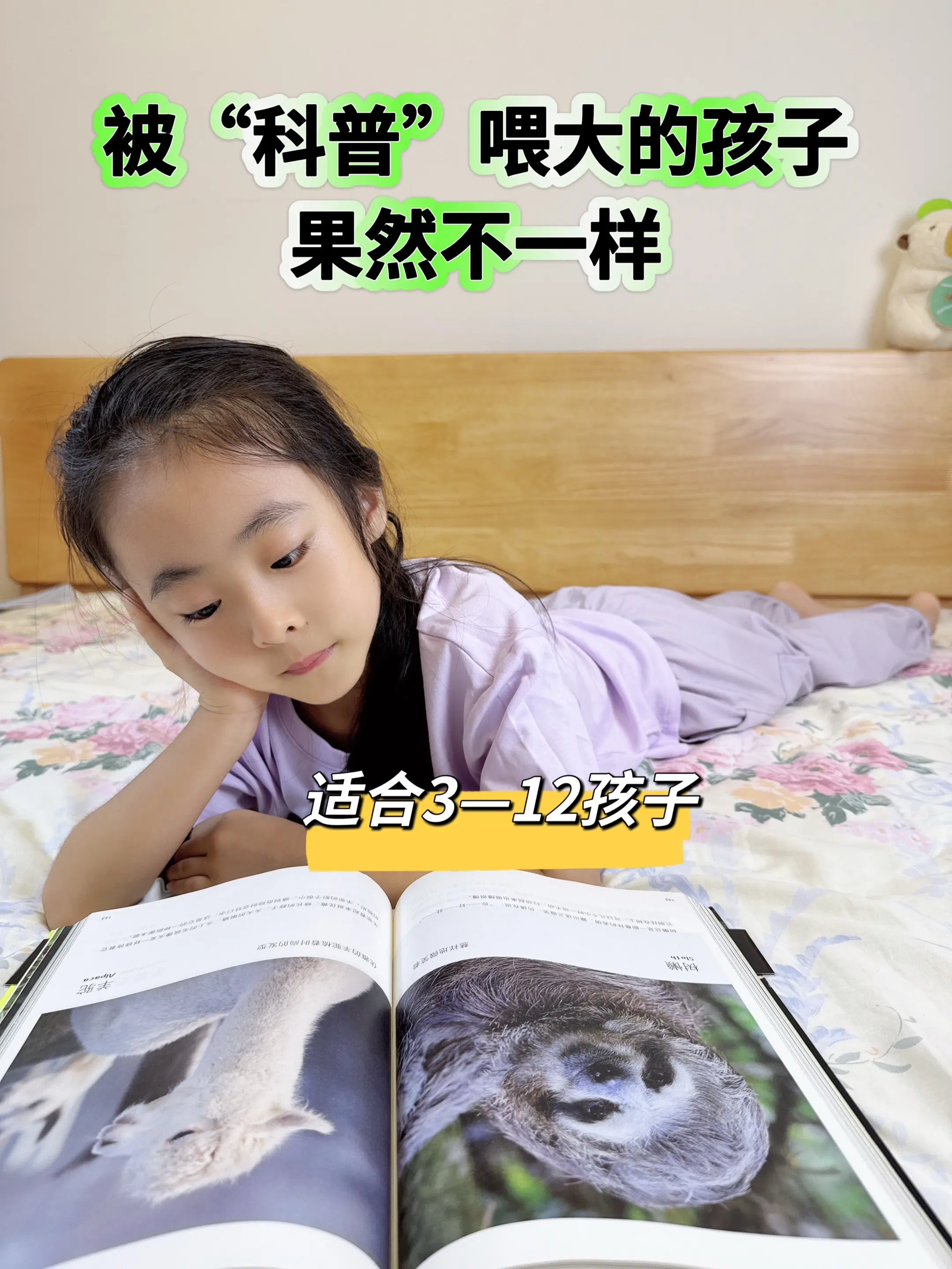 哇！3岁娃就能看懂的自然百科书🔥。高清实拍大图，视觉冲击力堪比纪录片...