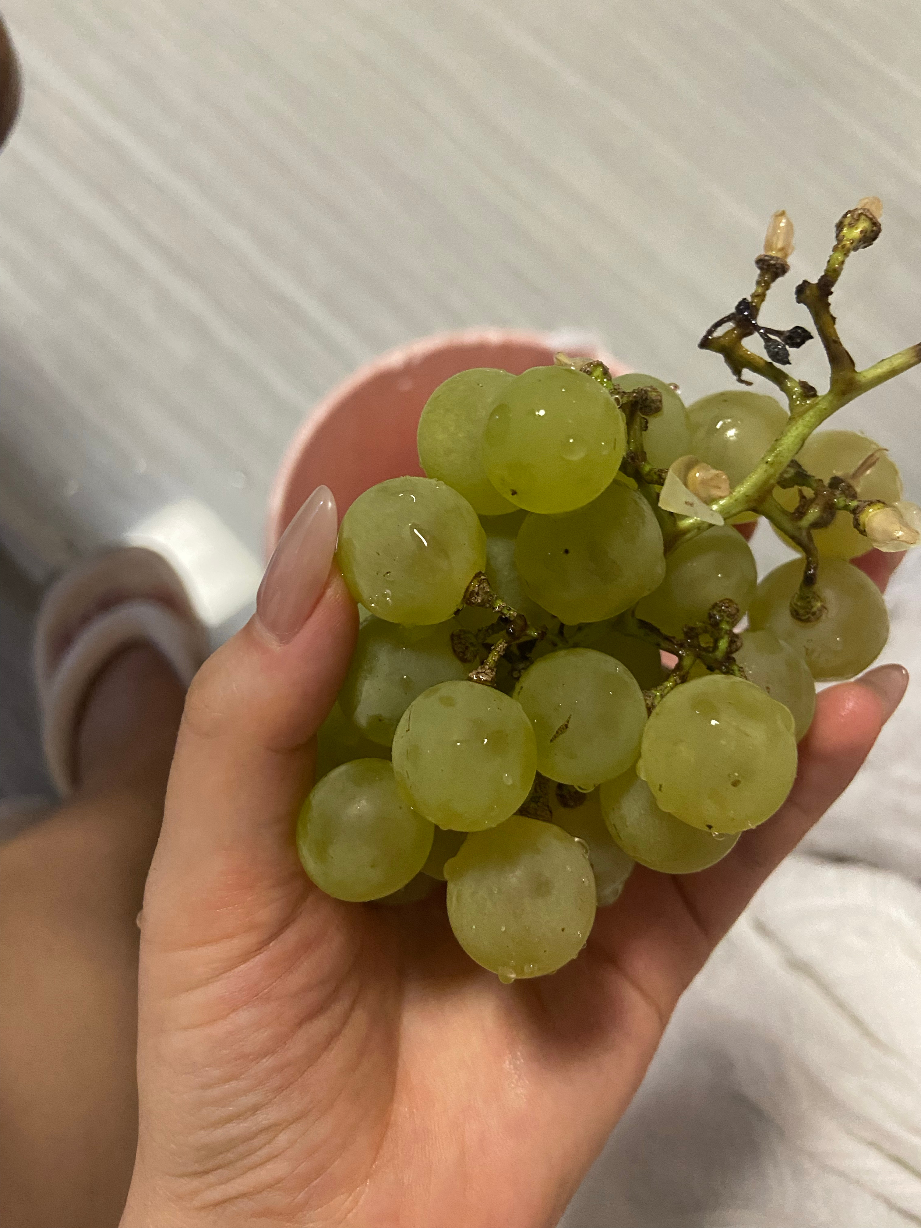 贵阳👉安顺👉百色 纯吃不玩的一周踩雷踩麻了本江西人 喜重口味 咸辣党 纯主观