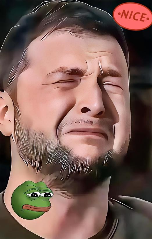 乌克兰方面传来消息了！

11月19号，乌克兰总统泽连斯基动身去土耳其，主要目的