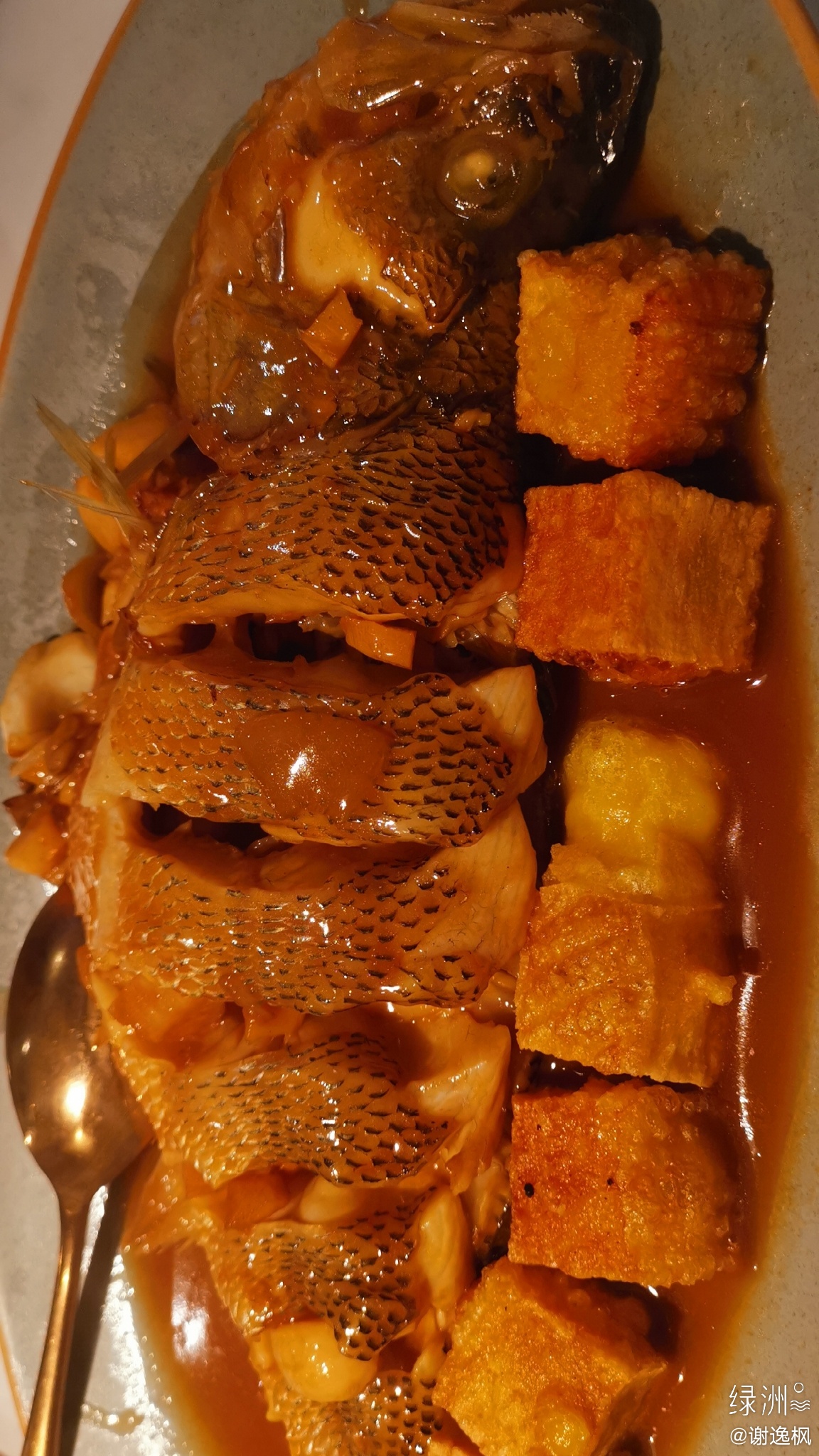 周六的正确打开方式 吃鱼了么 绿洲