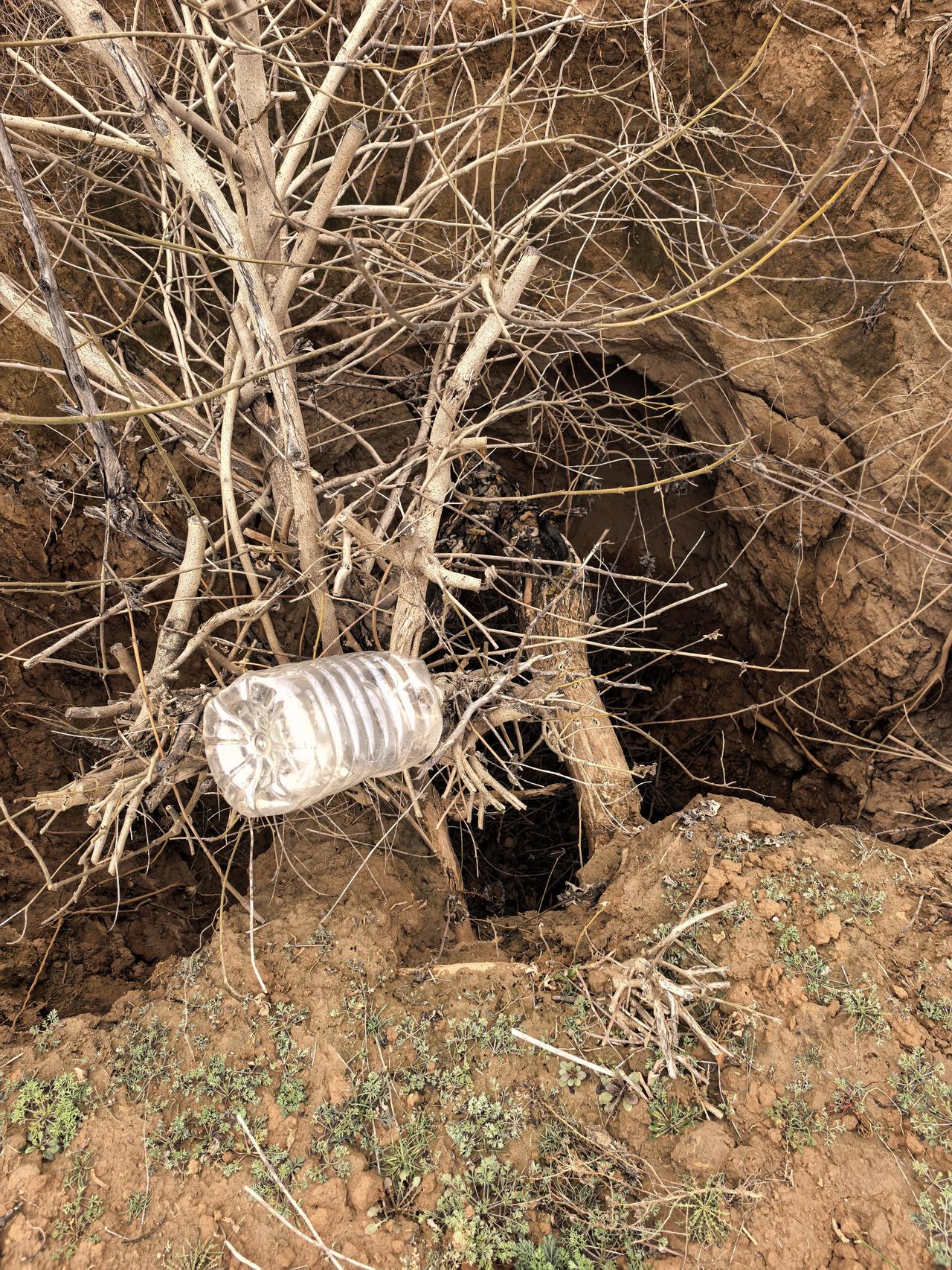 美以对伊朗动武会有哪些影响证明大家对特朗普的认识偏差太大，诺贝尔和平奖组委会的认