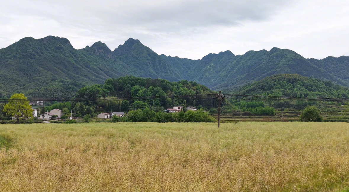 烟雨下江南，在皖南体会李白走过的路，看过的风景 