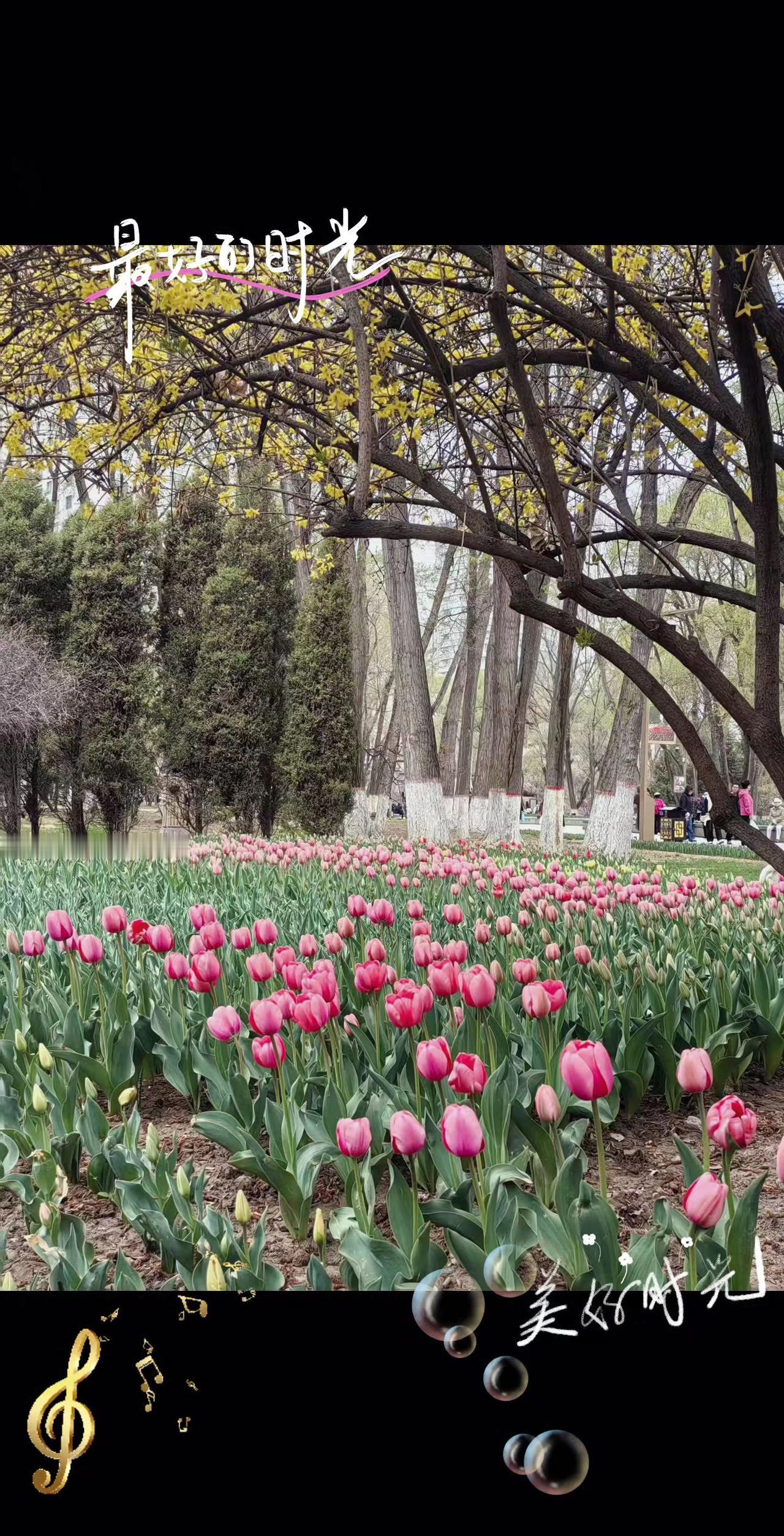 任何关系想要轻松，只需要记住一点，我真心相待，但不为你所困，对你好，是因为我愿意
