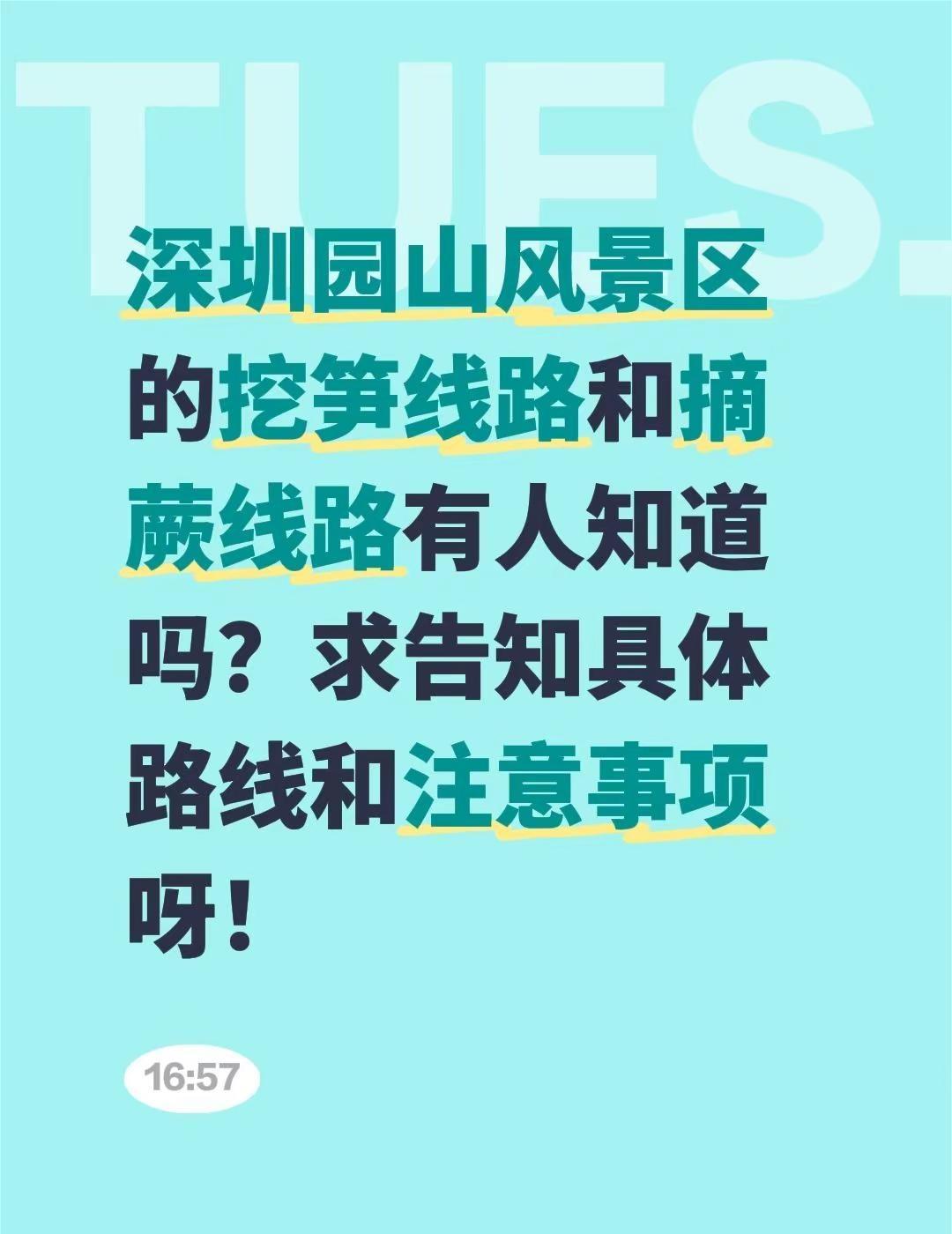 深圳园山风景区的挖笋线路和摘蕨线路有人知道吗？求告知具体路线和注意事项呀！