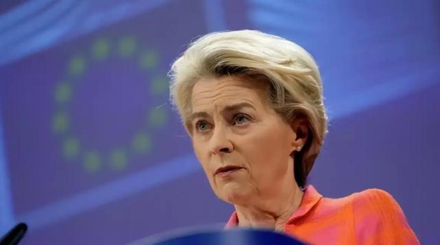 谁能想到 G7 峰会上还有这一出！欧盟主席冯德莱恩特意掏出一块磁铁，当着特朗普的