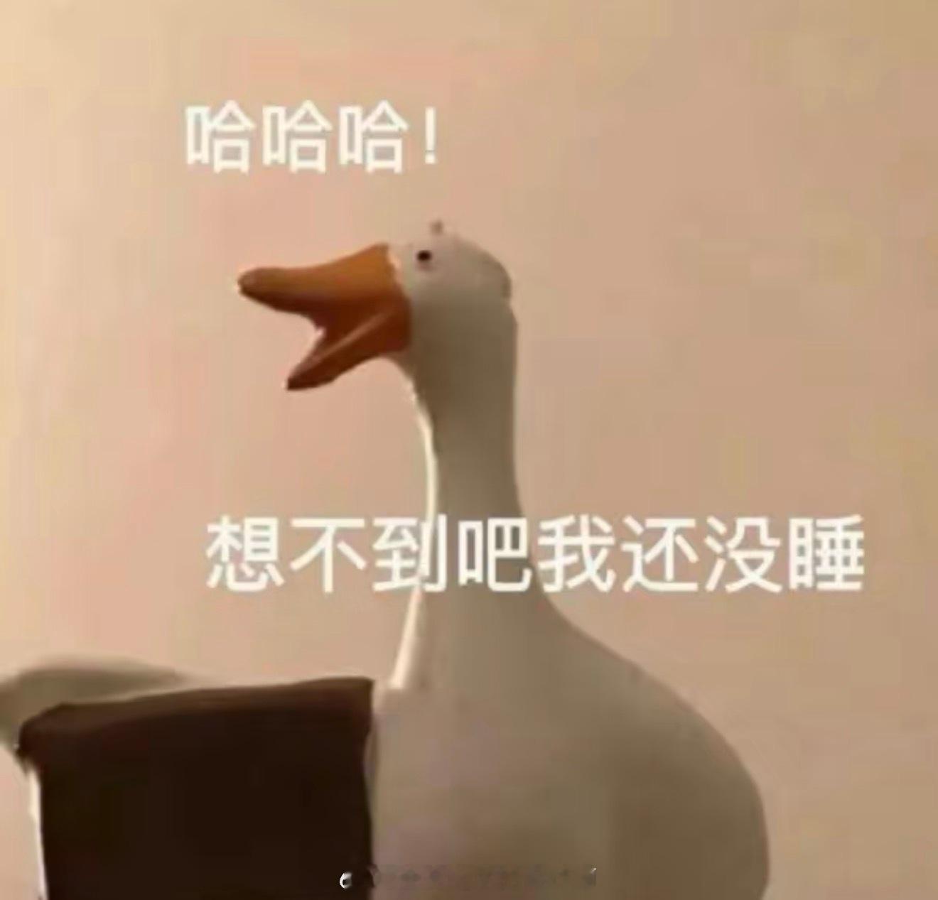 早上七点半一杯瑞幸下午自制咖啡续上buff今天连哈欠都没打过平时陪娃击剑完回来都