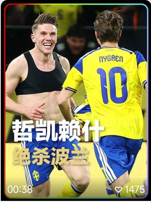 哲凯赖什，真正的锋霸，大赛脚不软，一发不可收，意大利队就缺这么个大杀器！
瑞典3