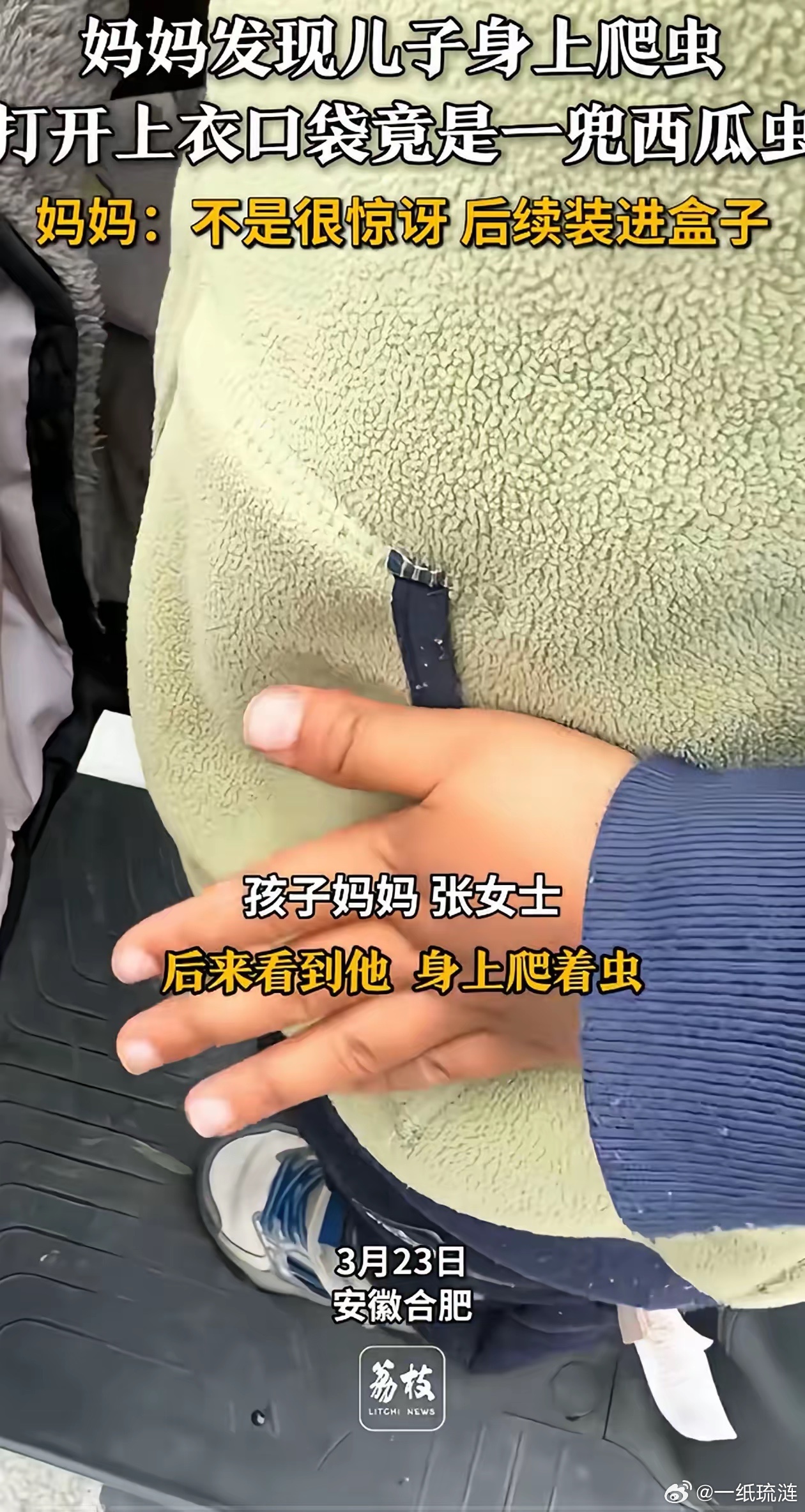 万万没想到！安徽合肥，女子发现孩子衣服上有虫子爬，她过去找了半天，最后掀开衣兜一