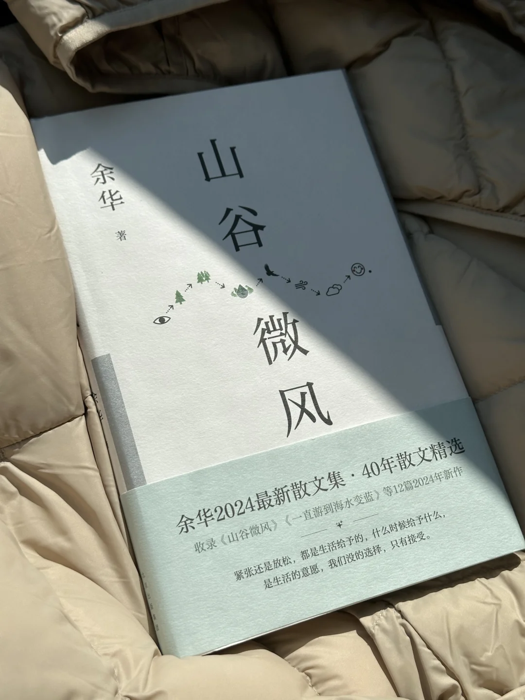 “你将像山上的风一样自由”