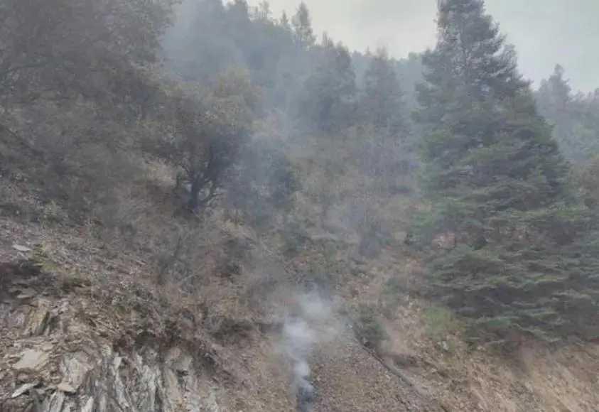 震惊！雅江山火疑云丛生，珍贵生态资源损失惨重或影响未来十年生态景观！

松茸，野