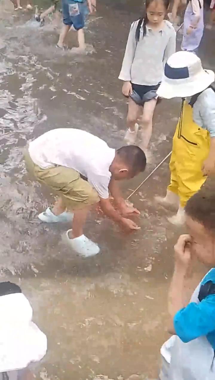 当当开，走走走。