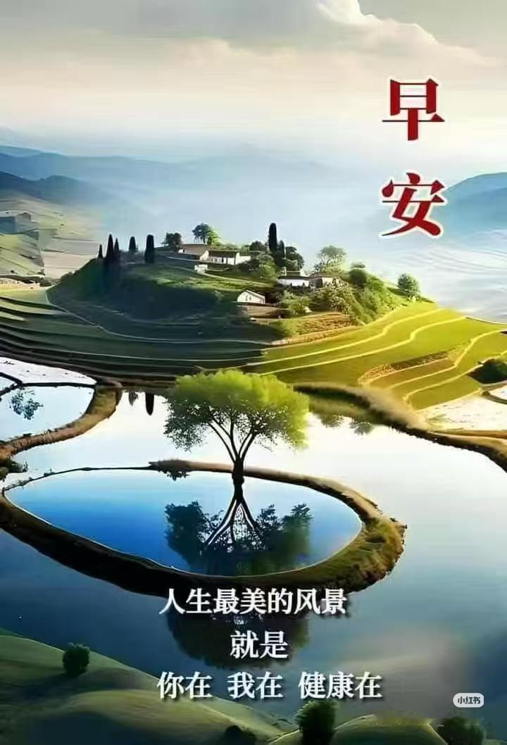 早上好☀️
新的一天，愿你平安顺遂，心里有光，眼里有暖。