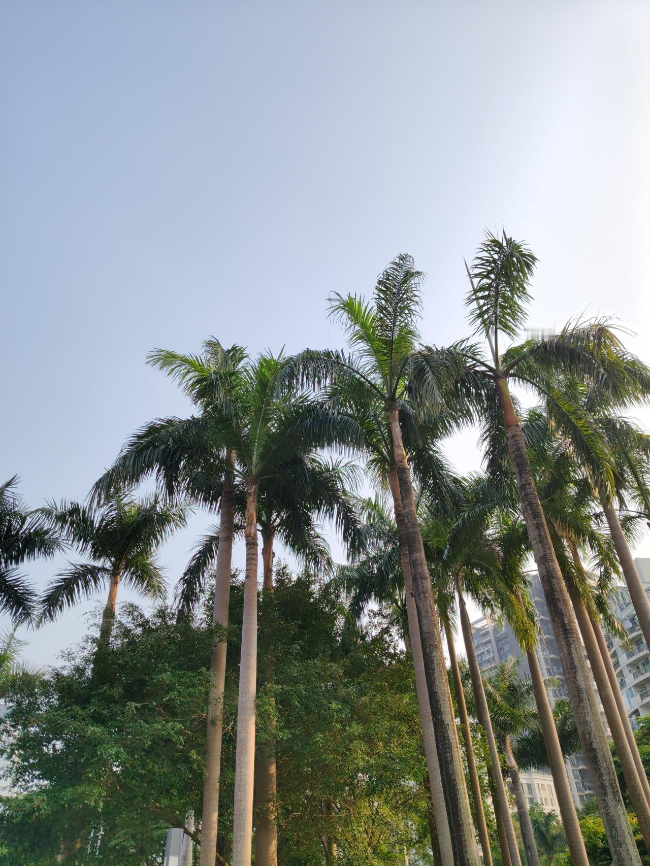霍尔木兹海峡重开对全球能源供应影响巨大。这海峡是全球石油运输的咽喉要道，约20%