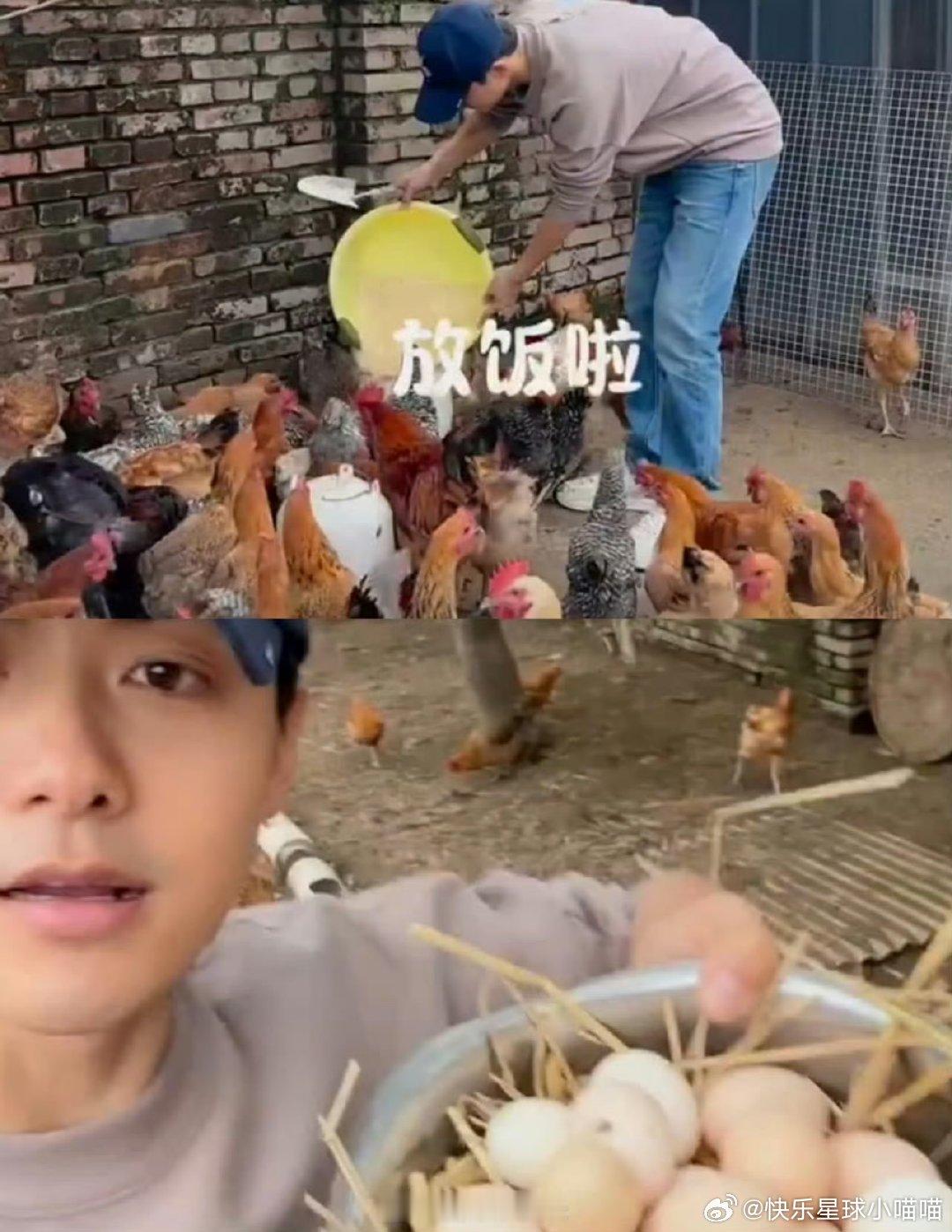 马天宇有一个属于自己的QQ农场马天宇有一个现实版的QQ农场 被马天宇的农场震惊到