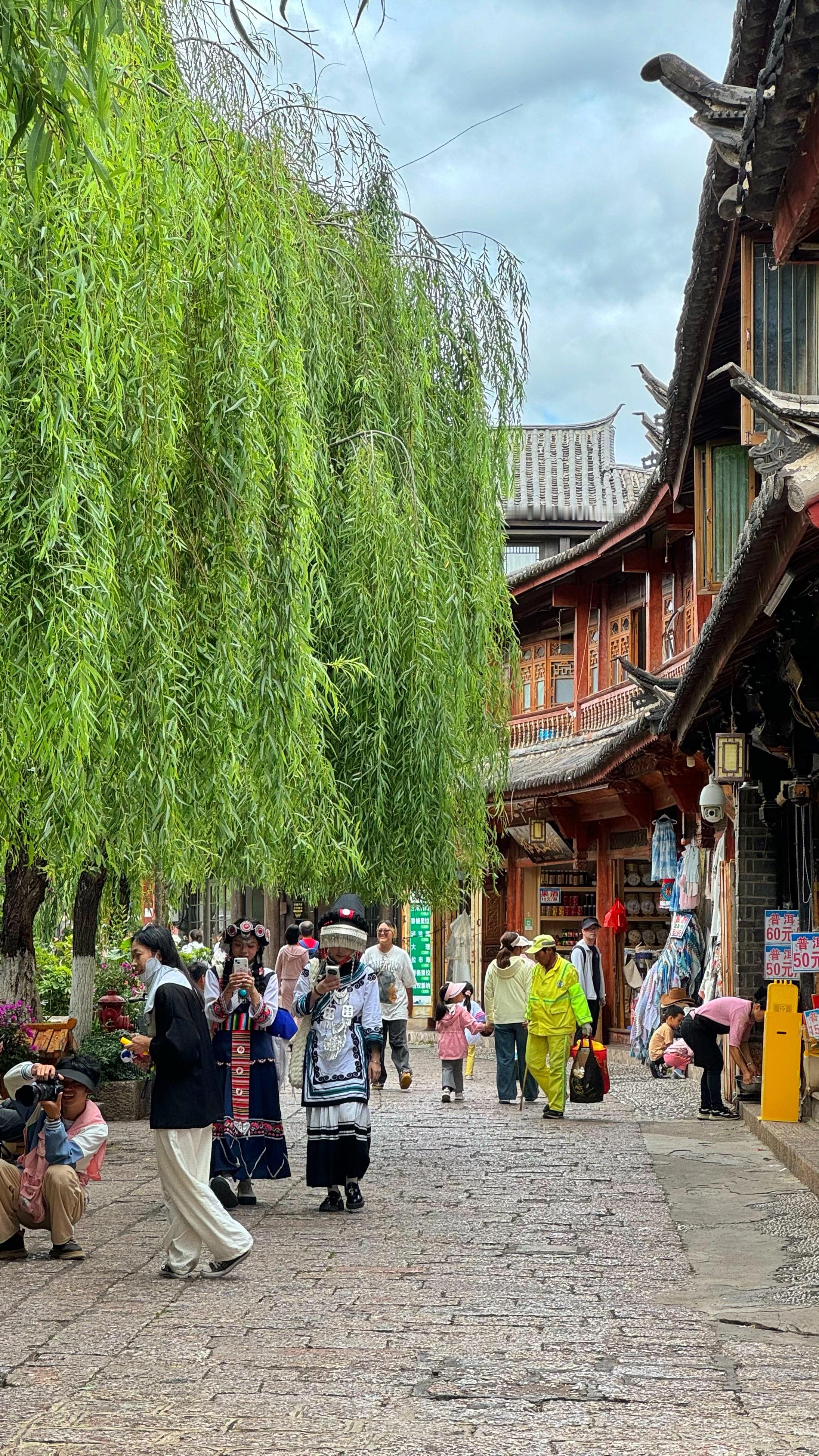 云南旅游攻略君  来云南旅游你被当猪宰过吗？其实，云南旅游并不是只有每天都会拉你