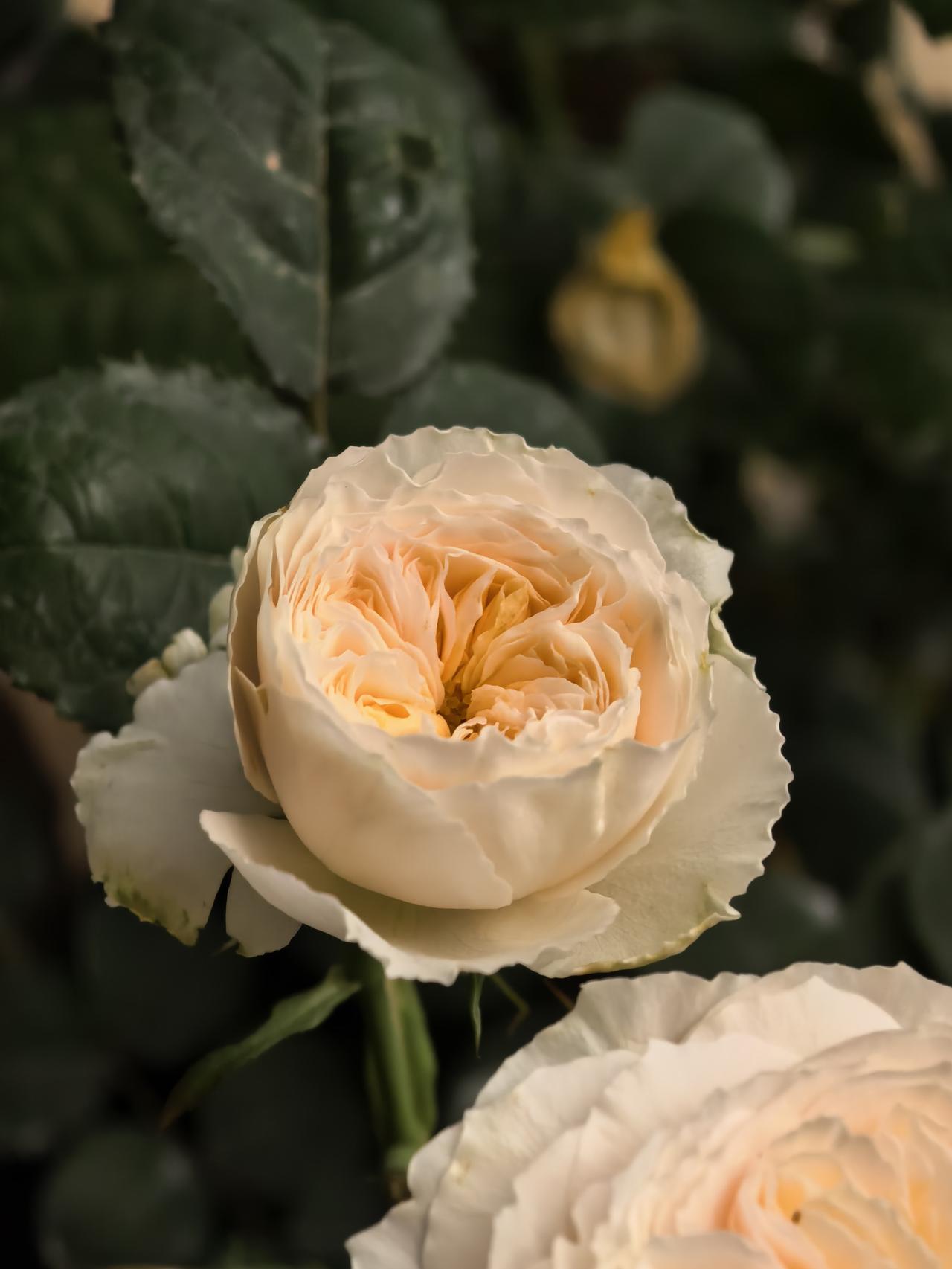 以前总刷到吐槽女司机的视频，我还当个乐子看，直到自家闺女开车，我才算彻底感受。