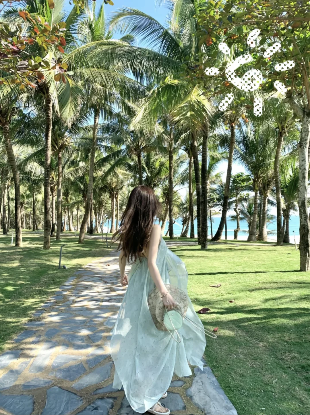 奔向自由的风🌊～～🌴