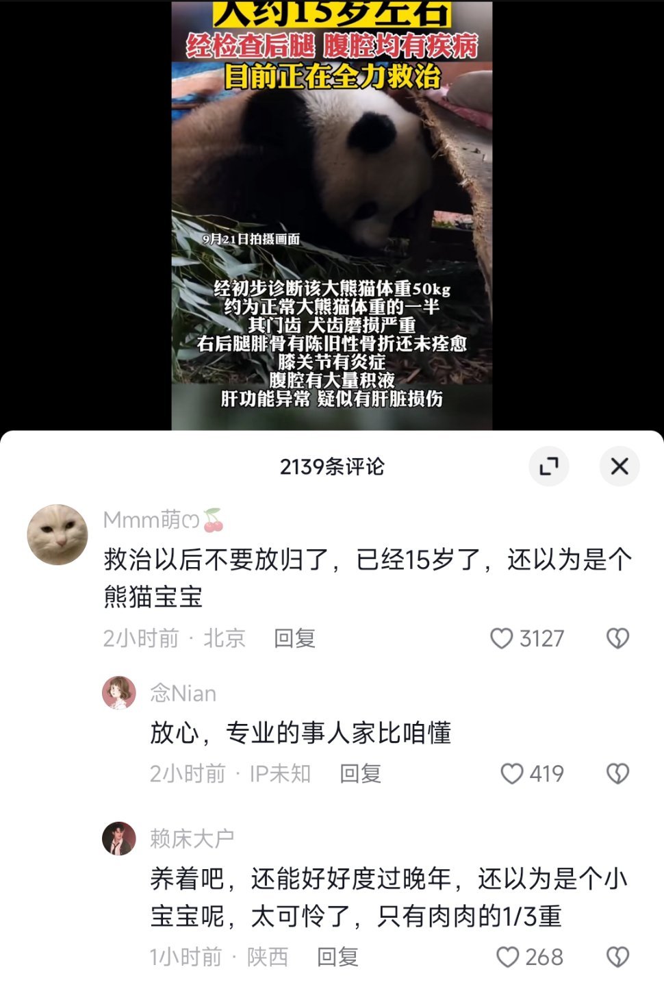 #进村民家大熊猫体重为正常熊猫的一半#这种野生大熊猫也许最好的归宿是留在动物园或