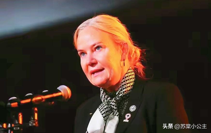 索林要哭了！本来指望中国大满贯扭亏为盈，结果王楚钦和林诗栋退赛了！

2025年