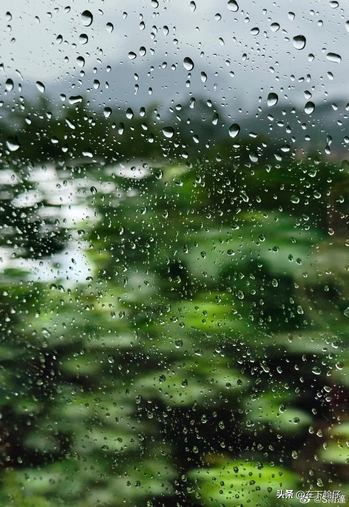 眉山这场雨，是真拿盆往下倒啊！

昨晚到今天，眉山东坡区这雨就没歇过气。省气象台