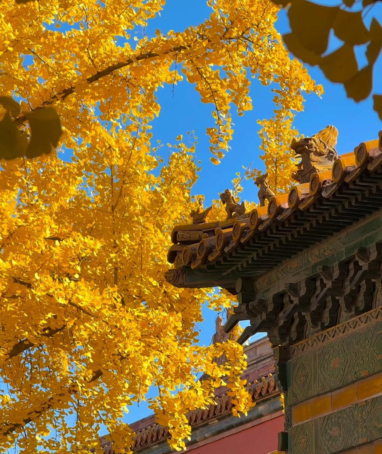 新的一周了，天气情况，无风无雨无云，晴