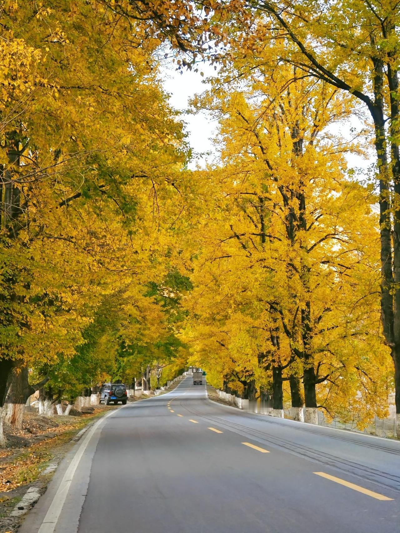 985 高校的特聘研究员、博士生导师遭到学生实名举报。硕博生提交了 83 页的举