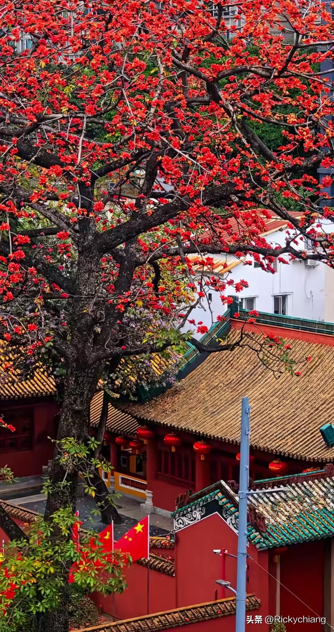 起初，父母抛下我们外出打工；
接着，我们抛下父母外出打工；
随后，我们抛下孩子外