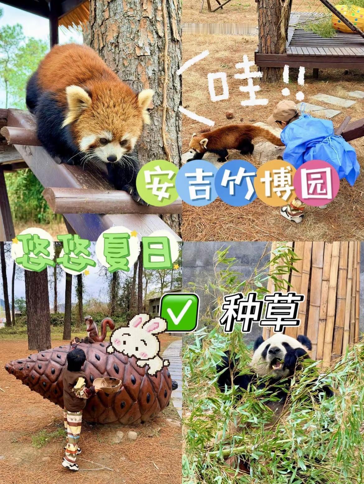快来安吉这里…夯爆了❗️。江浙沪宝妈亲子游必冲安吉竹博园，整理好超详细省心路线，