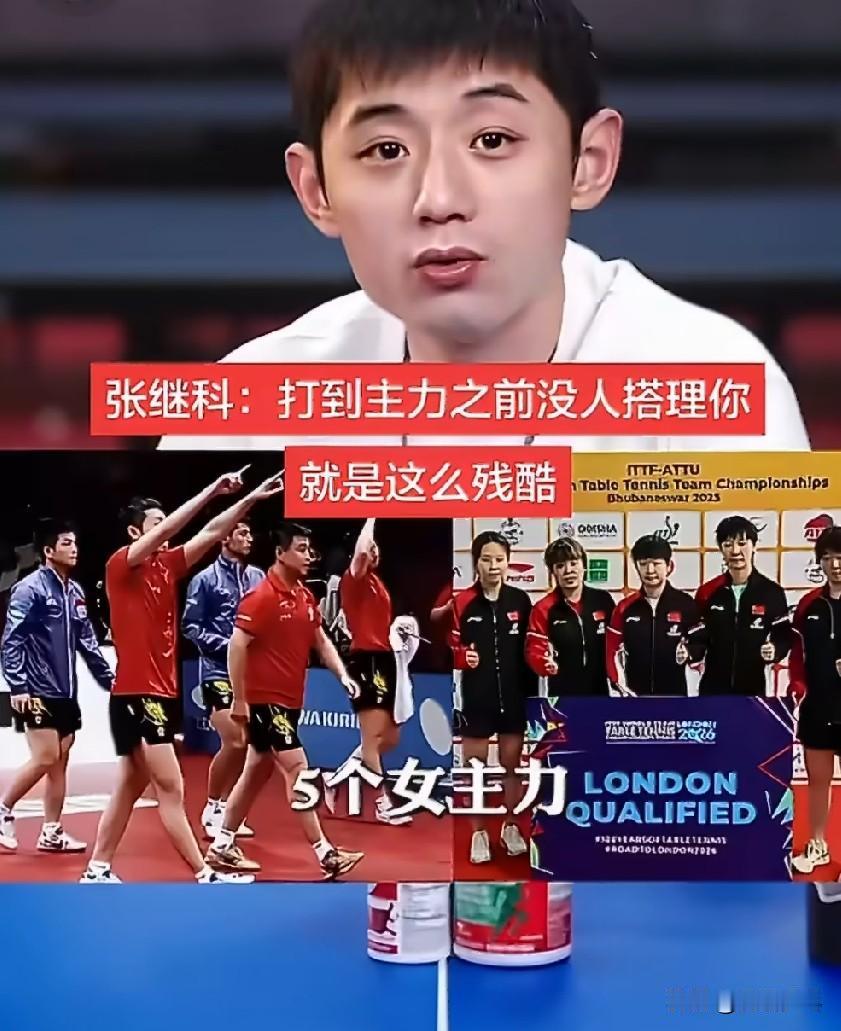 张继科: 竞技体育真的这么残酷啊，资源肯定是先紧着主力队员来的……
我在队里打主