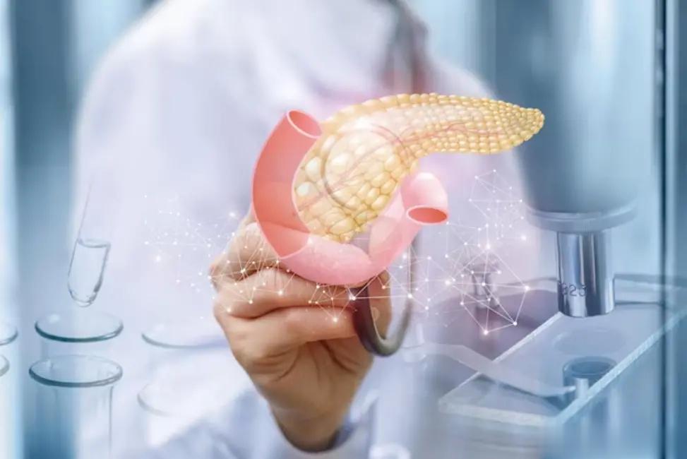 防范胰腺癌，5个关键要点，助你科学预防1.细嚼慢咽、远离暴饮暴食：过度进食和快速